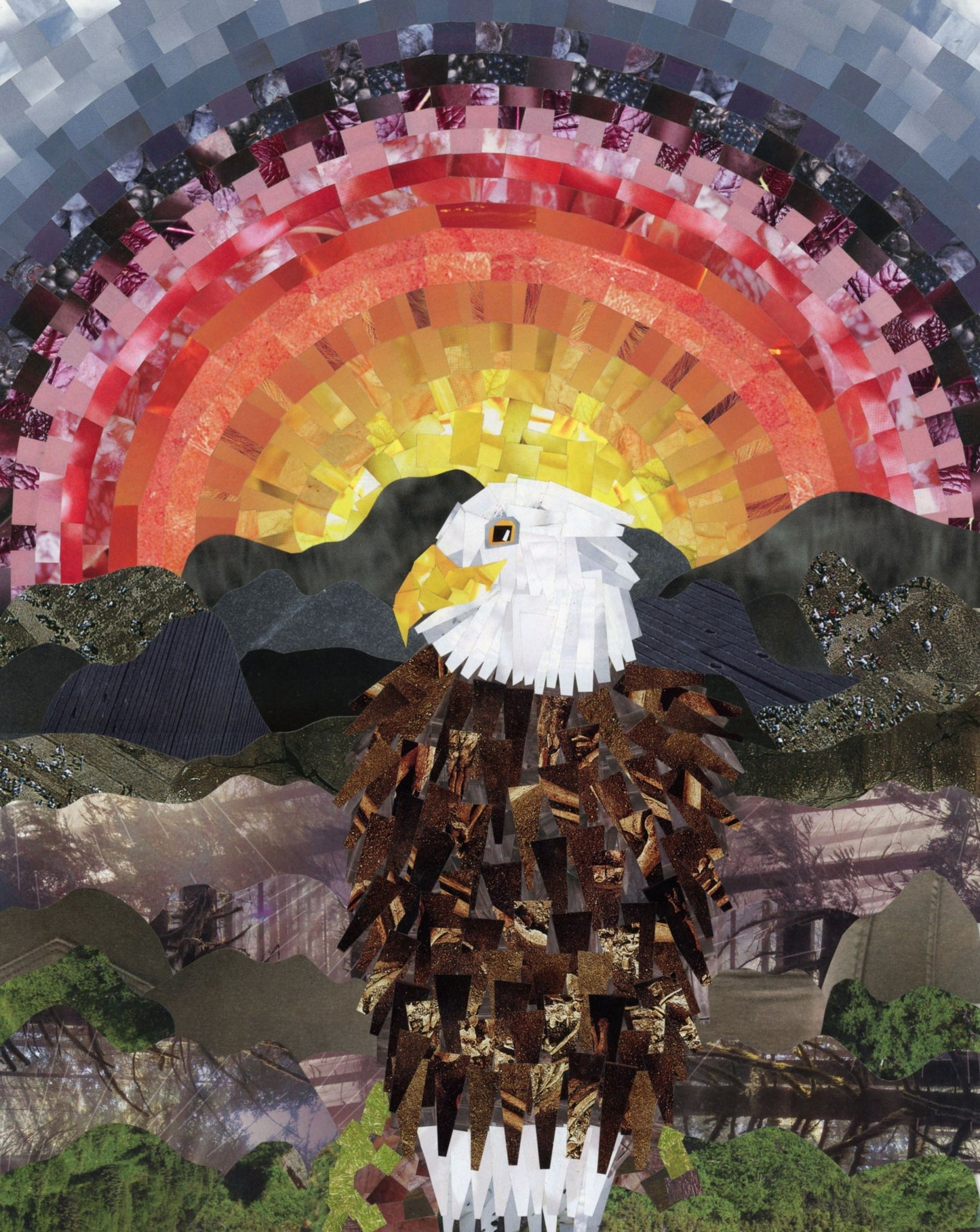 Bald Eagle Basking in the Sunset 16x20" Print
