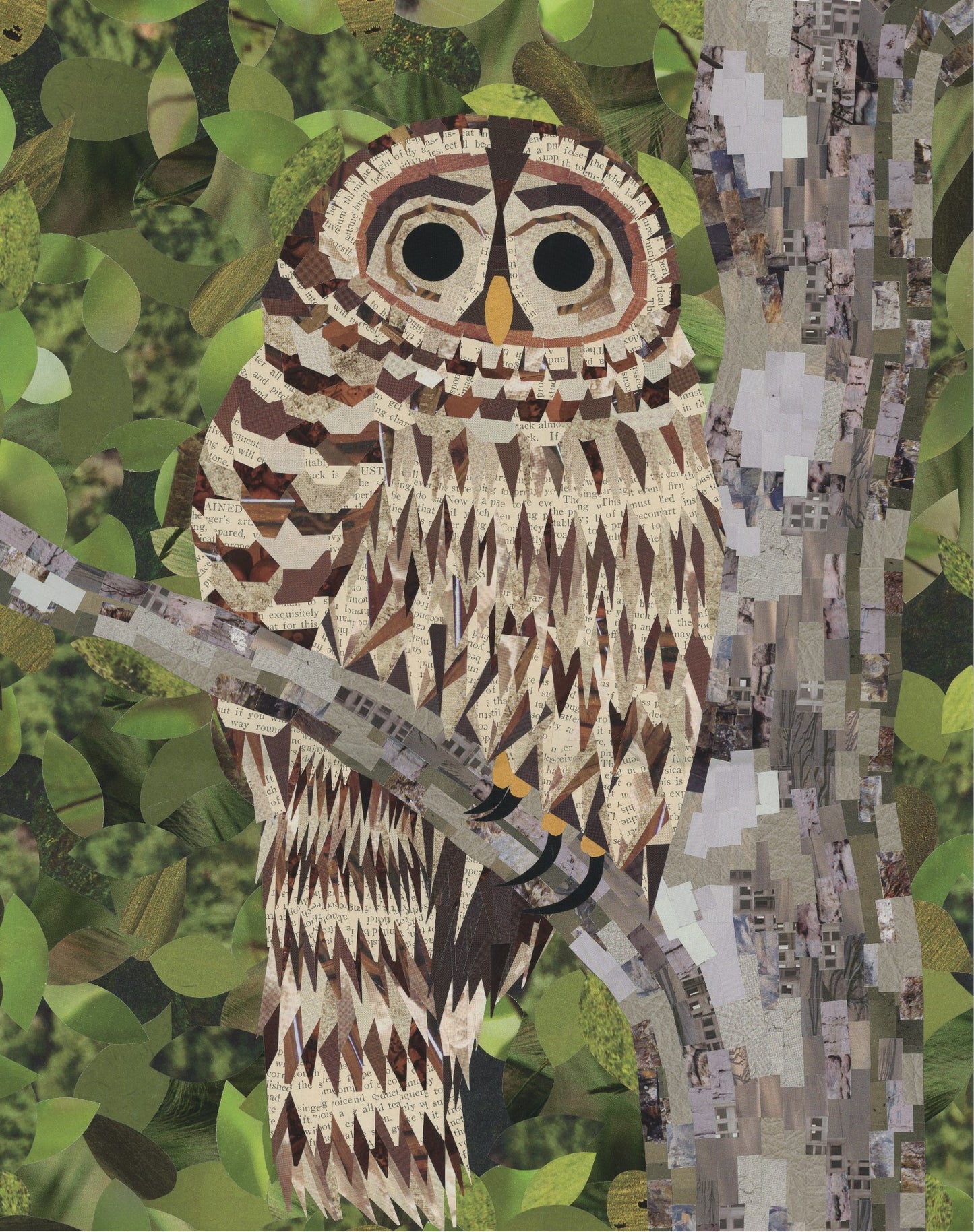 Hoot Hoot 16x20" Print