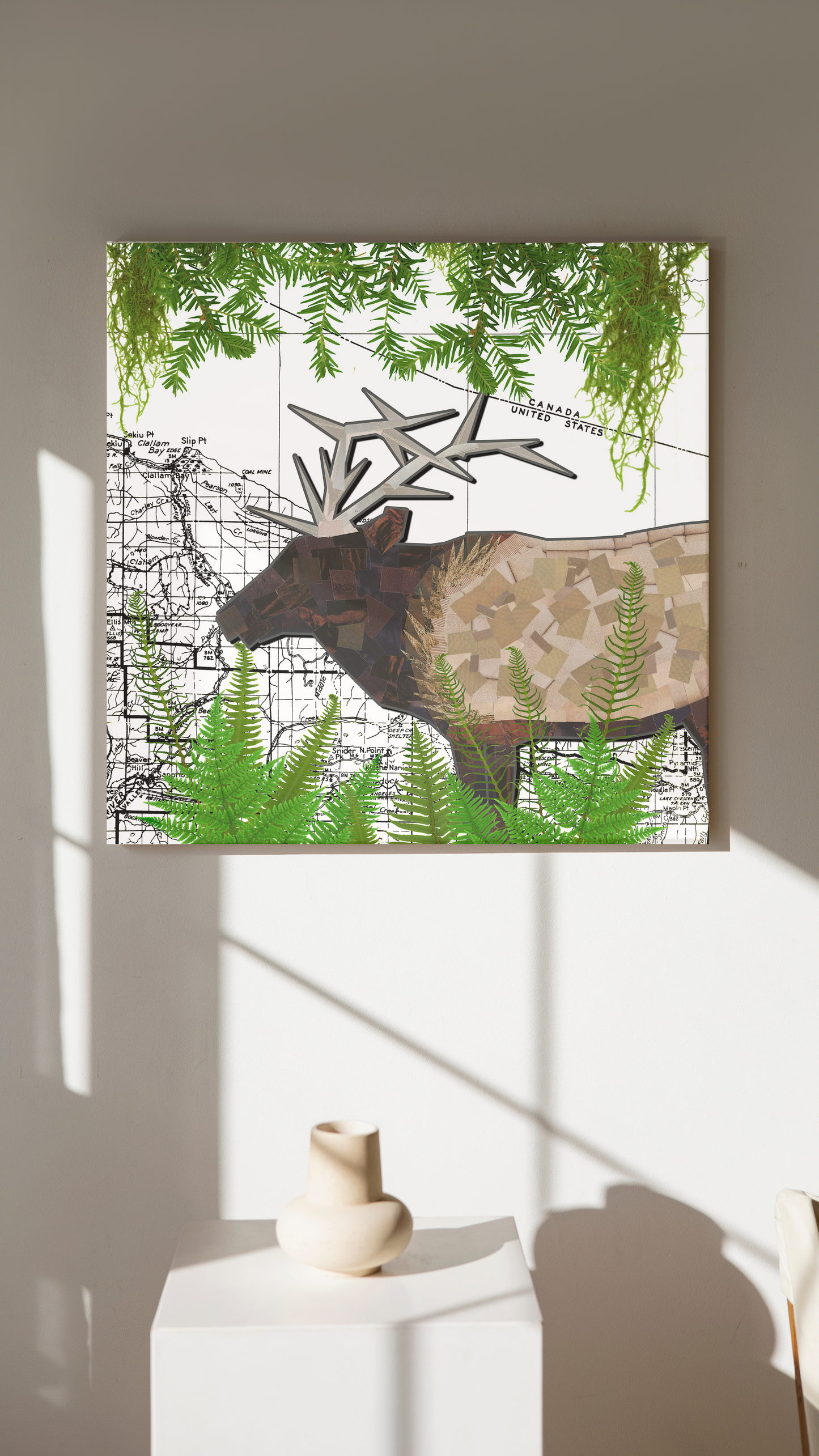 Olympic Peninsula Roosevelt Elk Thin Canvas Print 16x16"