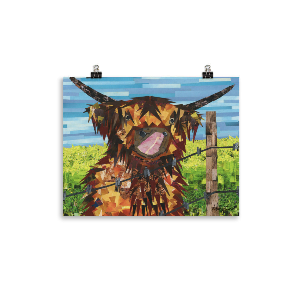 Highland Cow Print 11"x14"