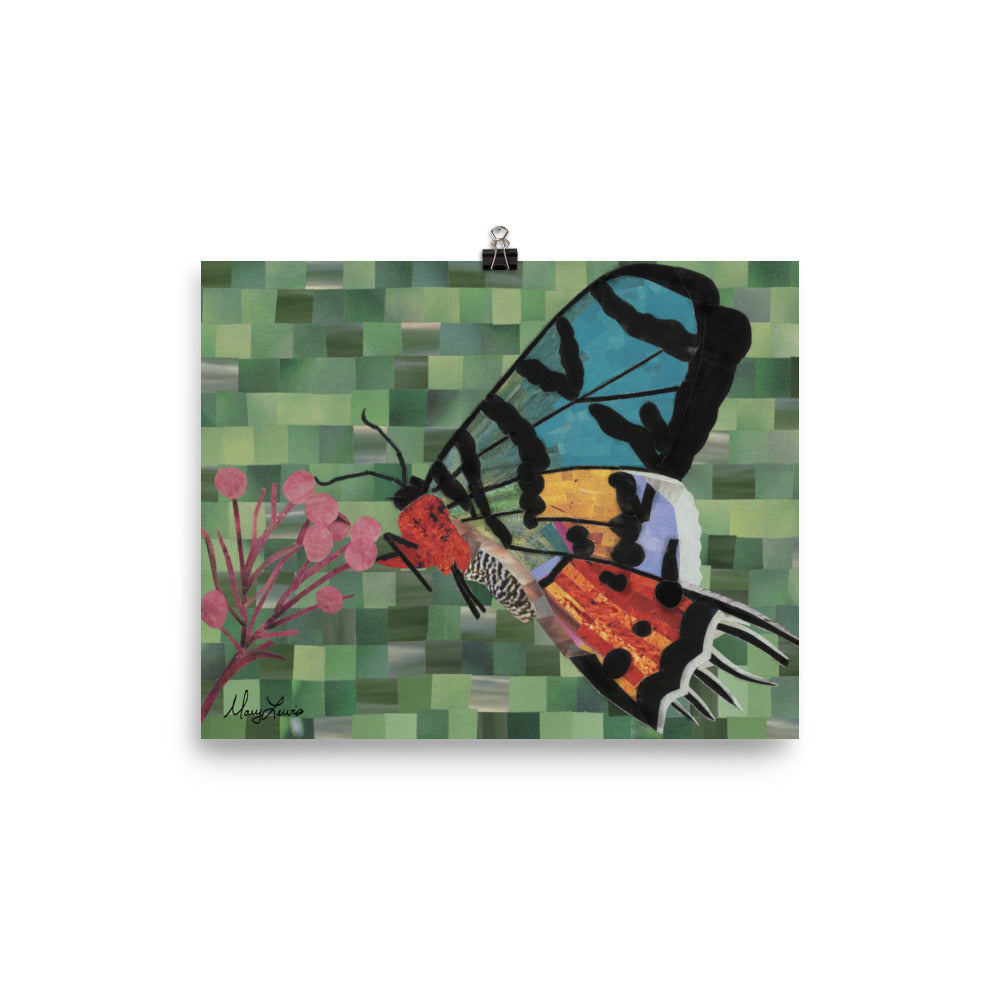 Madagascan Sunset Moth Print 8x10"