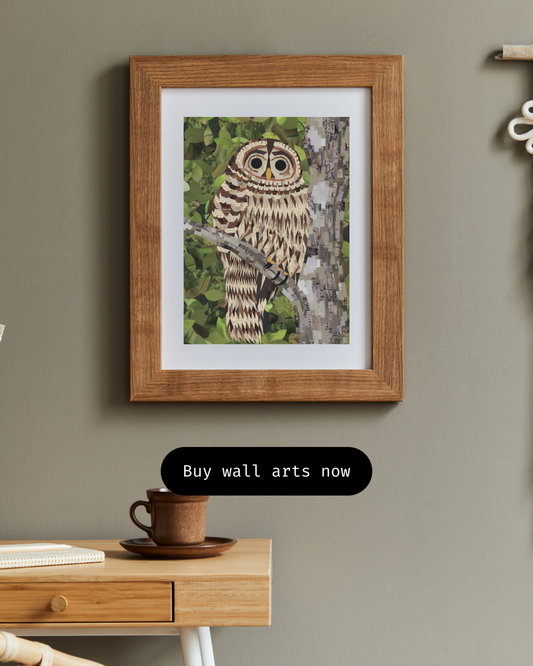 Hoot Hoot 8x10" Print