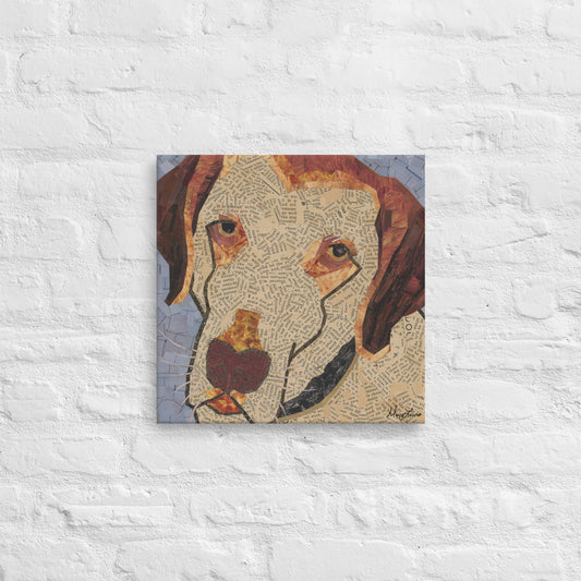 Chesapeake Bay Retriever Thin Canvas Print 16x16"