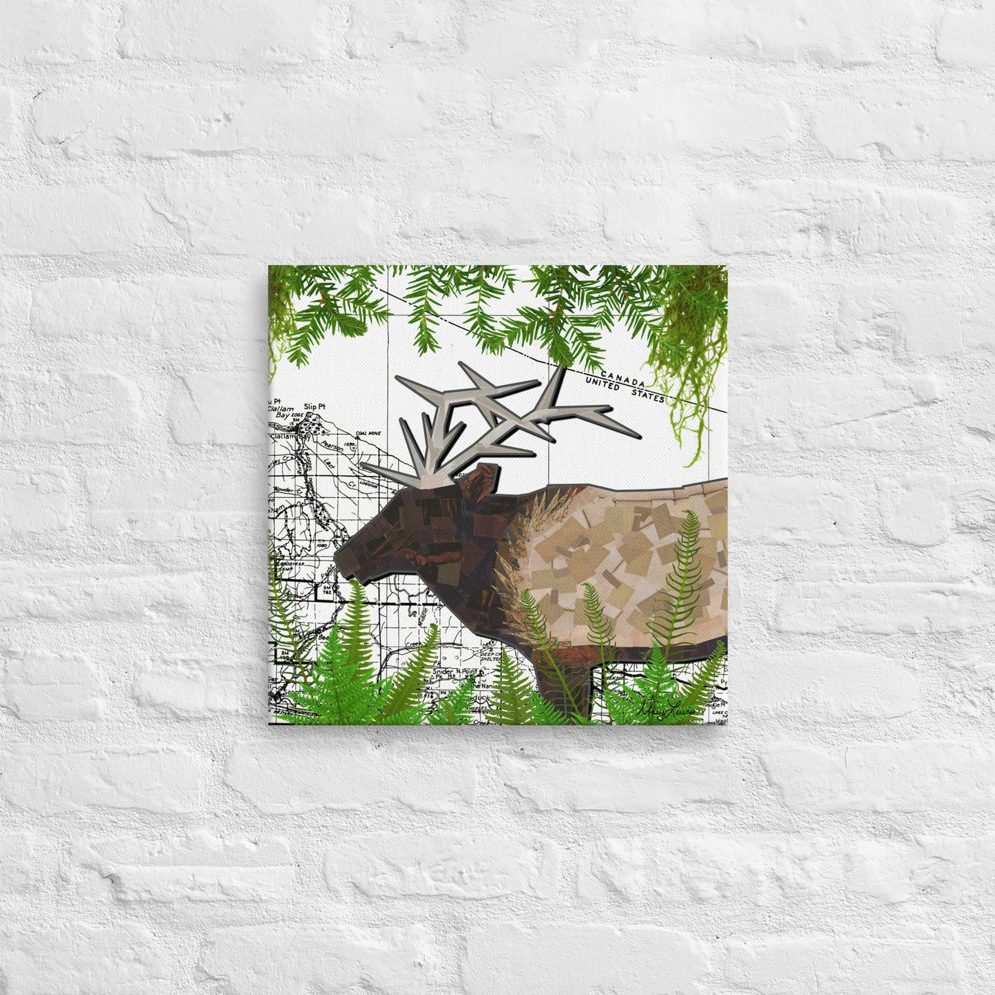 Olympic Peninsula Roosevelt Elk Thin Canvas Print 16x16"