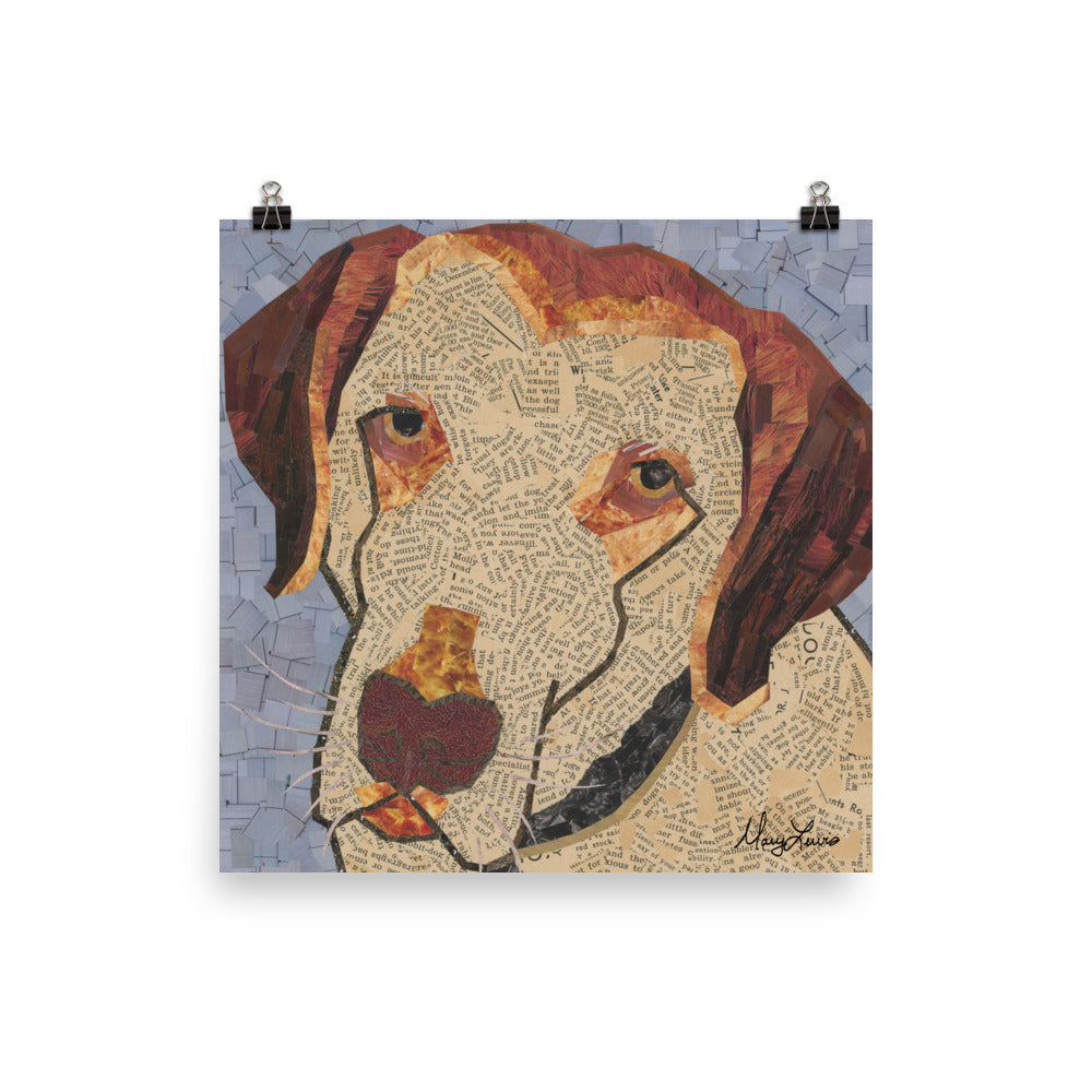 Chesapeake Bay Retriever Print 10x10"