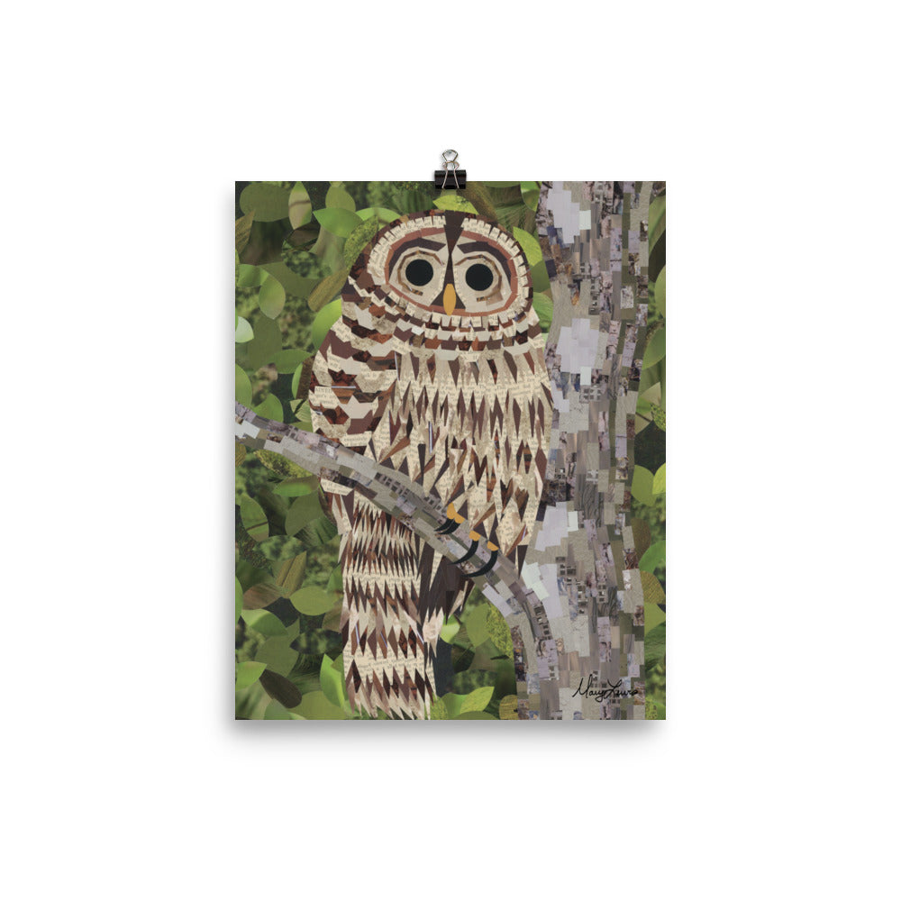 Hoot Hoot 8x10" Print